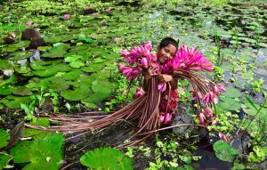 Girl With Water Lily in Bangladesh