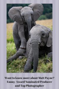 Want to know more about Matt Payne? Emmy-Award Nominated Producer and Top Photographer